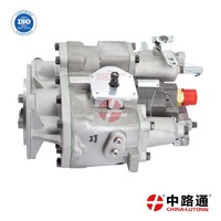 Fuel Injection Complete Pump 3165437-PT high pressure pump cost