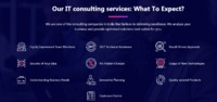 It consulting - Software Consulting Services