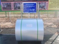 GL coils/GL/Galvalume sheet supplier Manufacturer in/from China