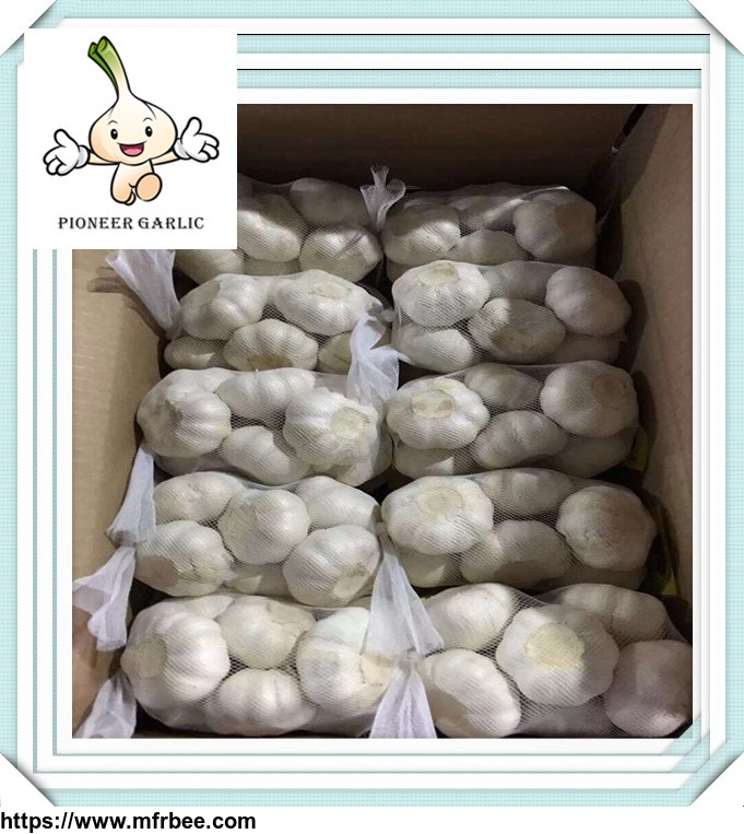2016_high_quality_jinxiang_pure_white_garlic