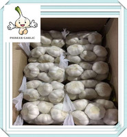 2016 high quality jinxiang  pure white garlic