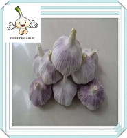 more images of 2016 high quality jinxiang  pure white garlic
