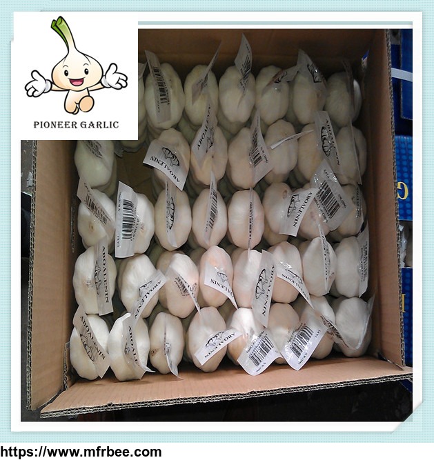 _hot_sale_2016_price_of_chinese_normal_white_garlic