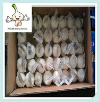 [hot sale] 2016 price of chinese normal white garlic