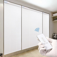 Rechargeable Motorized Blinds