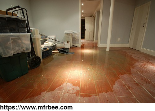 fort_lauderdale_water_and_mold_damage