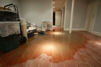 Fort Lauderdale Water & Mold Damage