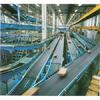 more images of PTFE teflon conveyor belt