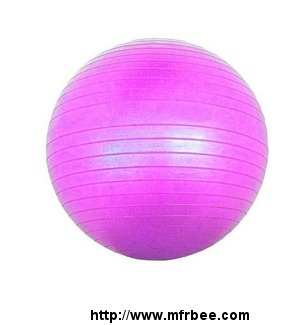 animate_fitness_ball_fitness_ball_manufacturer