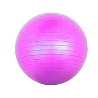 Animate Fitness ball - fitness ball manufacturer