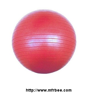 animate_fitness_ball_fitness_ball_manufacturer