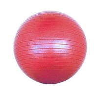 Animate Fitness ball ❤ fitness ball manufacturer