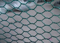 more images of Hexagonal Wire Mesh