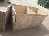 more images of Hesco Barrier