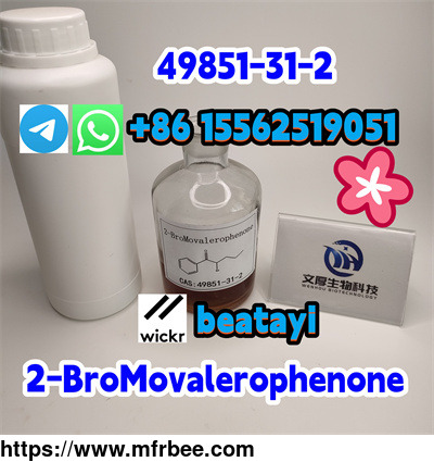 49851_31_22_bromovalerophenone