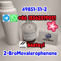 2-BroMovalerophenone	49851-31-2