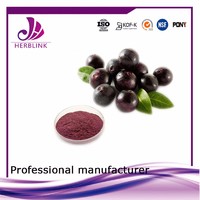 energy supplement Freeze Dried Acai berry Extract