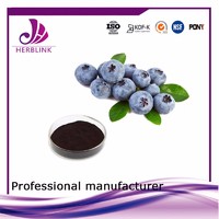 health supplement fruit extract Bilberry powder