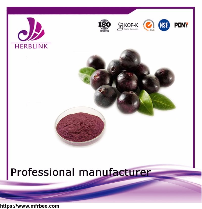 energy_supplement_freeze_dried_acai_berry_extract
