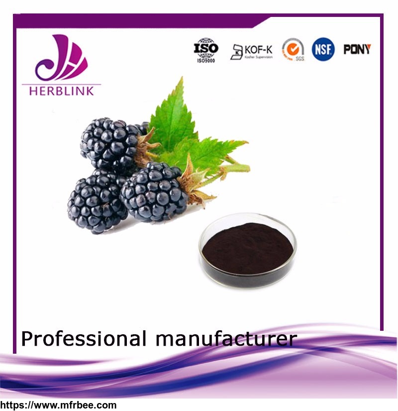 hot_sale_2017_food_beverage_mulberry_extract