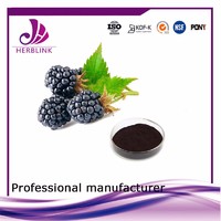 more images of hot sale 2017 food beverage Mulberry Extract