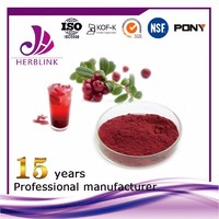Herblink supply Raw material cranberry powder