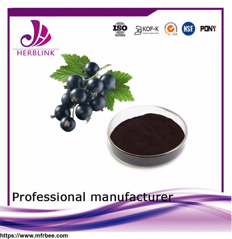 factory_direct_supply_freeze_dried_fruit_black_currant_extract