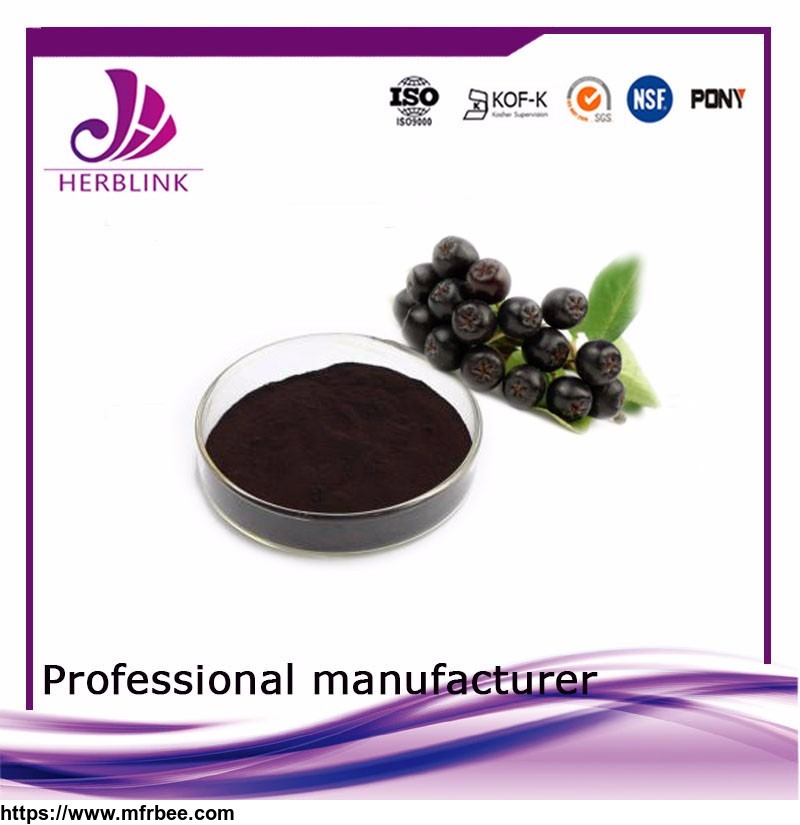 best_selling_products_fruit_extract_aronia_extract