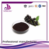 best selling products fruit extract Aronia extract