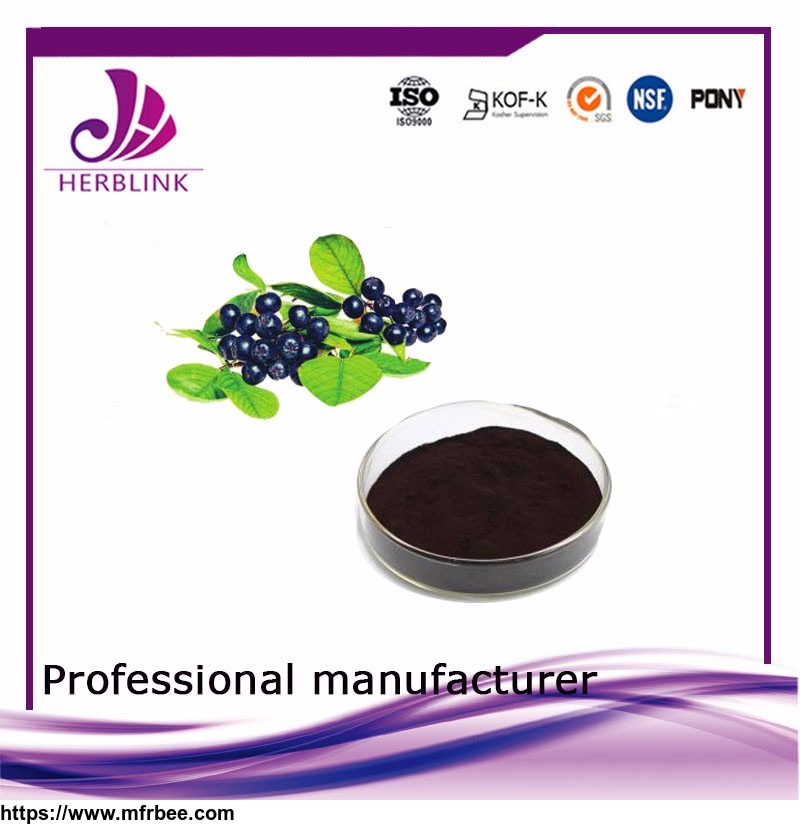 100_percentage_natural_pure_hot_selling_products_black_chokeberry_extract