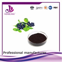 more images of 100% natural pure hot selling products Black chokeberry extract