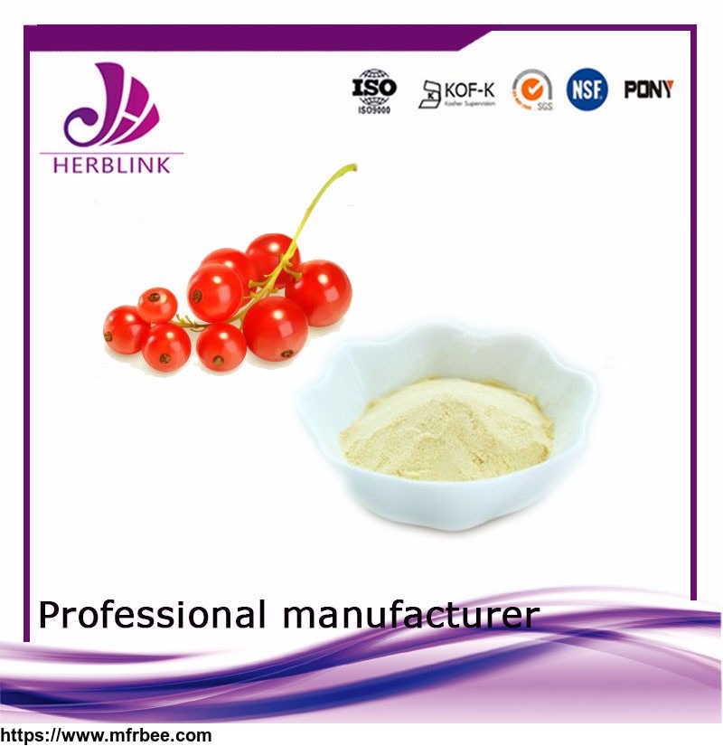 hippophae_rhamnoides_extract_water_soluble_gmp_factory_sea_buckthorn_powder