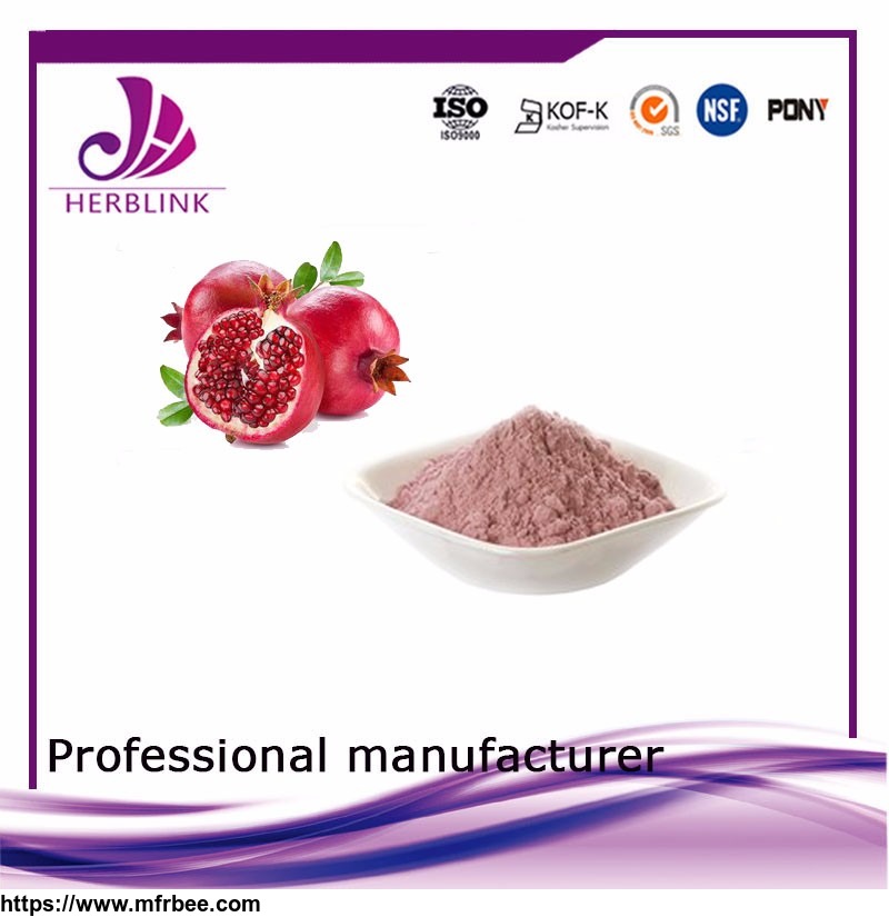 free_sample_hot_sale_2017_water_soluble_pomegranate_fruit_powder