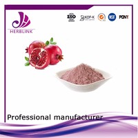 Free Sample hot sale 2017 water soluble Pomegranate Fruit Powder