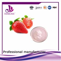 Instant Drink shopping online Golden Supplier Strawberry fruit powder
