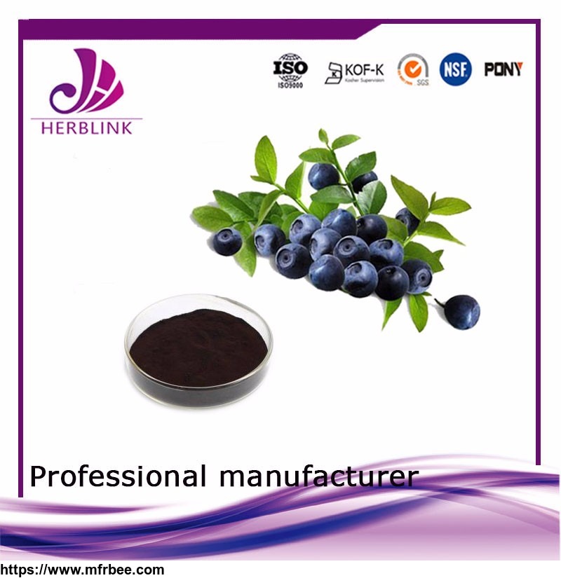wholesale_alibaba_water_soluable_freeze_dried_blueberry_fruit_powder