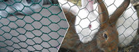 Plastic Painted Hexagonal Nets