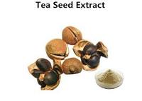 tea seed saponin powder 75% camellia seed extract