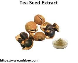 tea_saponin_powder_75_percentage_camellia_seed_extract