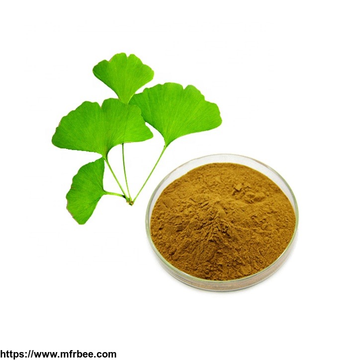 24_percentage_flavonoids_6_percentage_lactones_5ppm_ginkgo_biloba_leaf_extract_powder