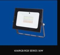 1030RGB-Rgb Floodlight  30W