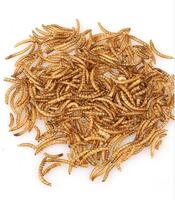 more images of Dried Breadworm