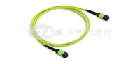 MTP/MPO CABLE ASSEMBLIES