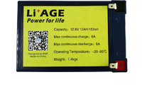 DNP  LiFePO4 12V 12.8V battery pack 12AH 14AH