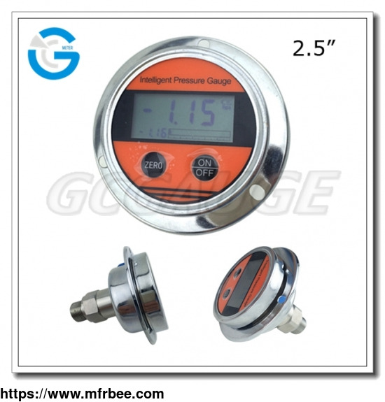 2_5_inch_all_stainless_steel_back_connection_panel_mount_digital_pressure_gauges