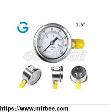 2_inch_dn10_mining_pressure_gauges