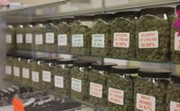 more images of The Cannabis Depot - Pueblo West