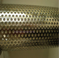 more images of Perforated Metal Mesh Grille