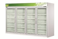 supermarket upright refrigerated showcase /Assembled freezer