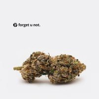 Buy Weed Online | AAAA Forget U Not: Apple Toffee 7g